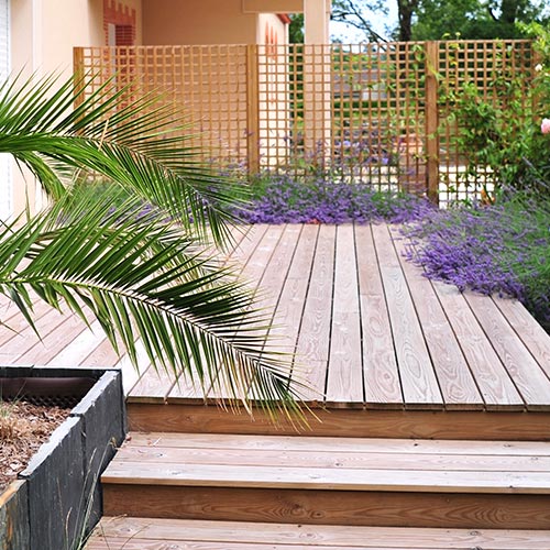 Création de terrasse en bois pin